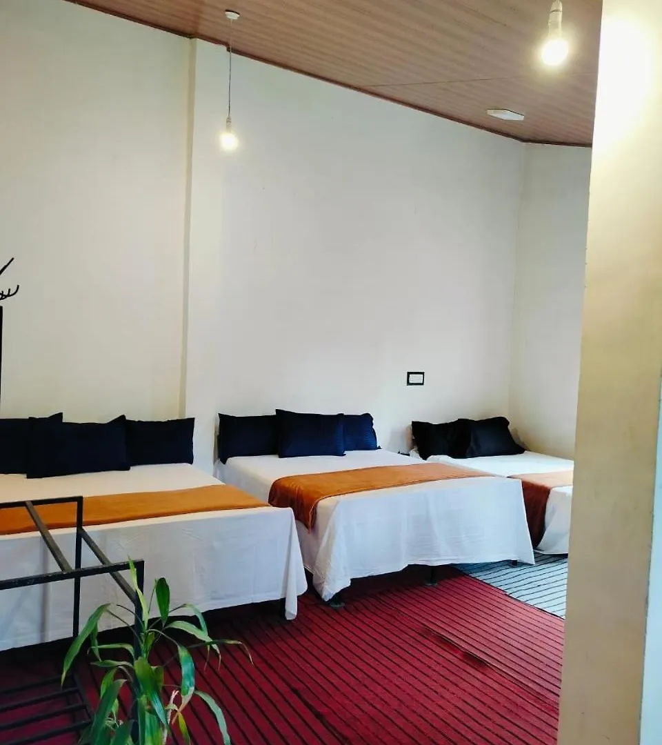 Guest house Niwasa House Hotel Nuwara Eliya